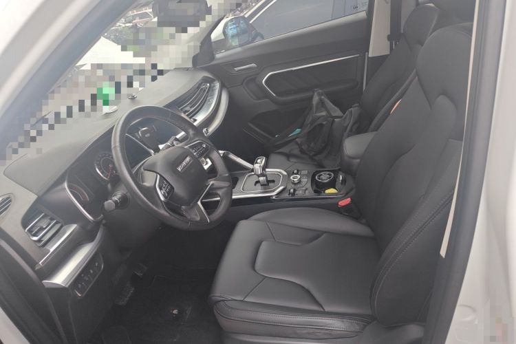 Used Haval H6 2017 Red Label 2.0T Automatic Two-Wheel Drive ZhiShang Model Left Front Seat