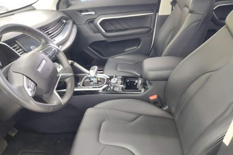 Used Haval H6 2017 Blue Label 2.0T Automatic Two-Wheel Drive Smart Edition Left Front Seat