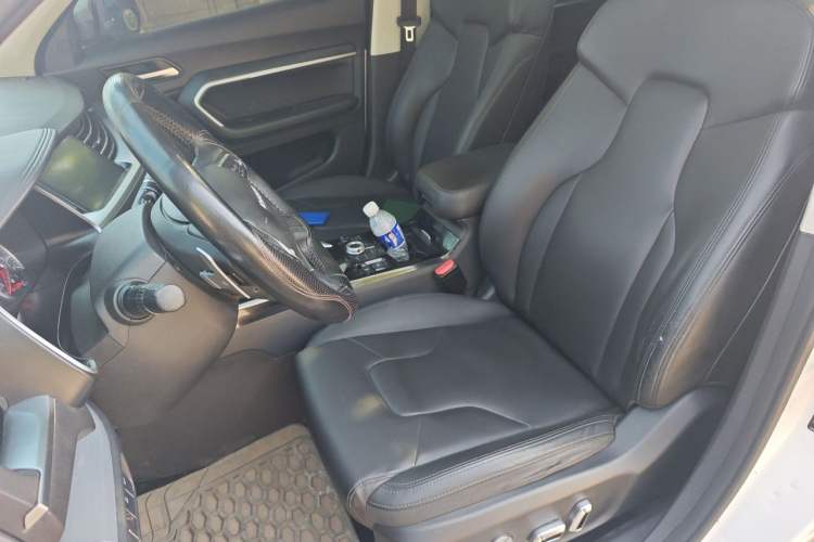 Used Haval H6 2017 Red Label 2.0T Automatic Two-Wheel Drive ZhiShang Model Left Front Seat