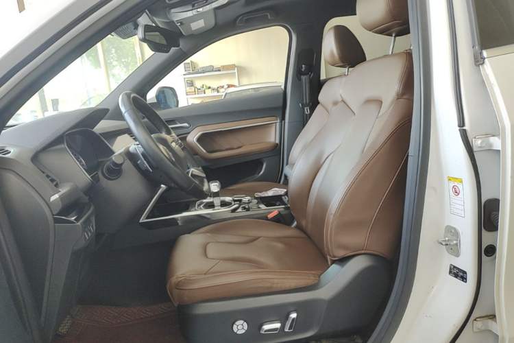 Used Haval H6 2017 Blue Label 2.0T Automatic Two-Wheel Drive Smart Edition Left Front Seat