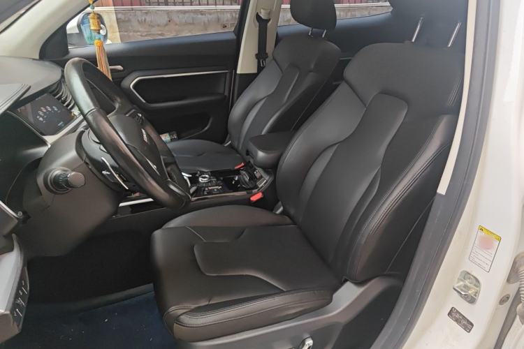 Used Haval H6 2017 Red Label 2.0T Automatic Two-Wheel Drive ZhiShang Model Left Front Seat