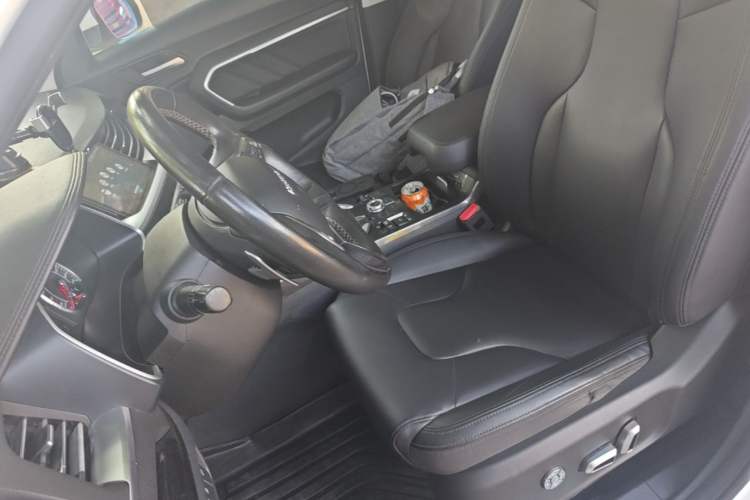 Used Haval H6 2017 Blue Label 1.5T Automatic Two-Wheel Drive ZhiShang Model Left Front Seat