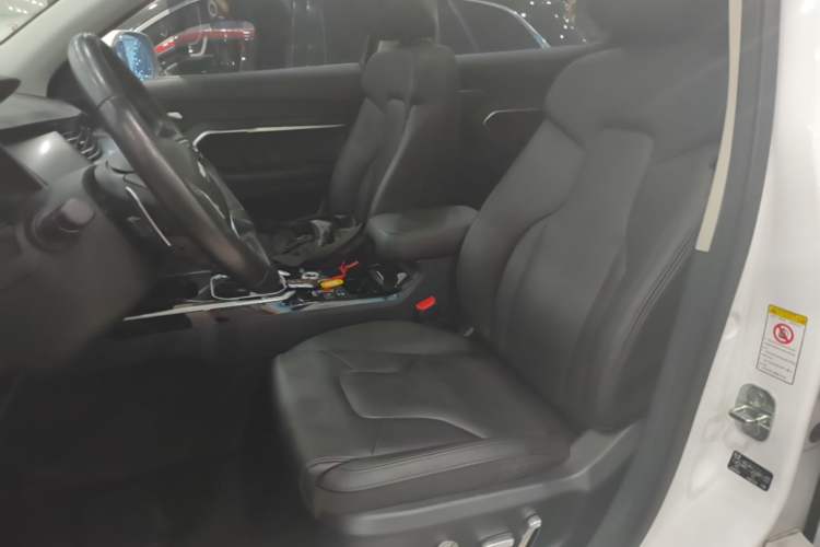 Used Haval H6 2017 Red Label 2.0T Automatic Two-Wheel Drive ZhiShang Model Left Front Seat