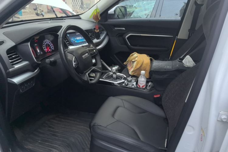 Used Haval H6 2017 Red Label 2.0T Automatic Two-Wheel Drive ZhiShang Model Left Front Seat
