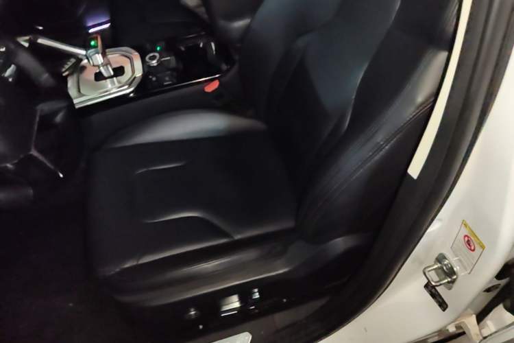 Used Haval H6 2017 Red Label 2.0T Automatic Two-Wheel Drive ZhiShang Model Left Front Seat