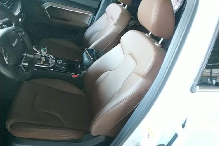 Used Haval H6 2017 Red Label 2.0T Automatic Two-Wheel Drive ZhiShang Model Left Front Seat
