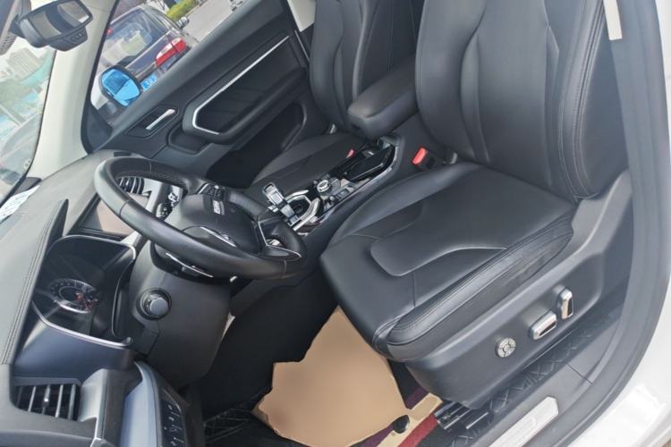Used Haval H6 2017 Blue Label 2.0T Automatic Two-Wheel Drive Smart Edition Left Front Seat