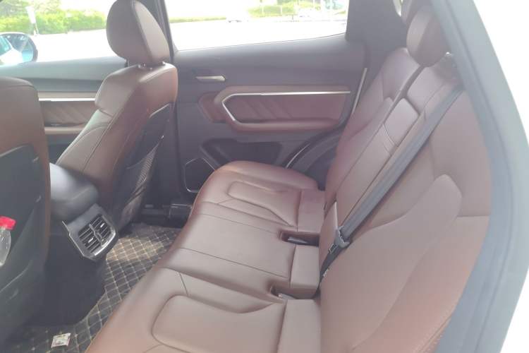 Used Haval H6 2017 Red-Label 2.0T Automatic Two-Wheel Drive Leading Edition Left Rear Seat