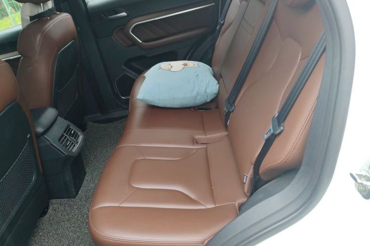 Used Haval H6 2017 Blue Label 1.5T Automatic Two-Wheel Drive ZhiShang Model Left Rear Seat