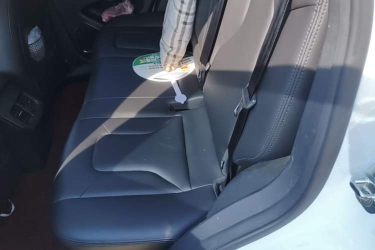 Used Haval H6 2017 Red Label 2.0T Automatic Two-Wheel Drive ZhiShang Model Left Rear Seat