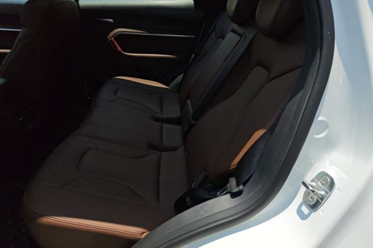 Used Haval H6 2017 Blue Label 2.0T Automatic Two-Wheel Drive Smart Edition Left Rear Seat