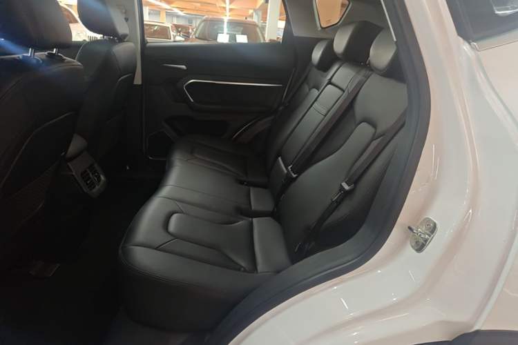 Used Haval H6 2017 Red Label 2.0T Automatic Two-Wheel Drive ZhiShang Model Left Rear Seat