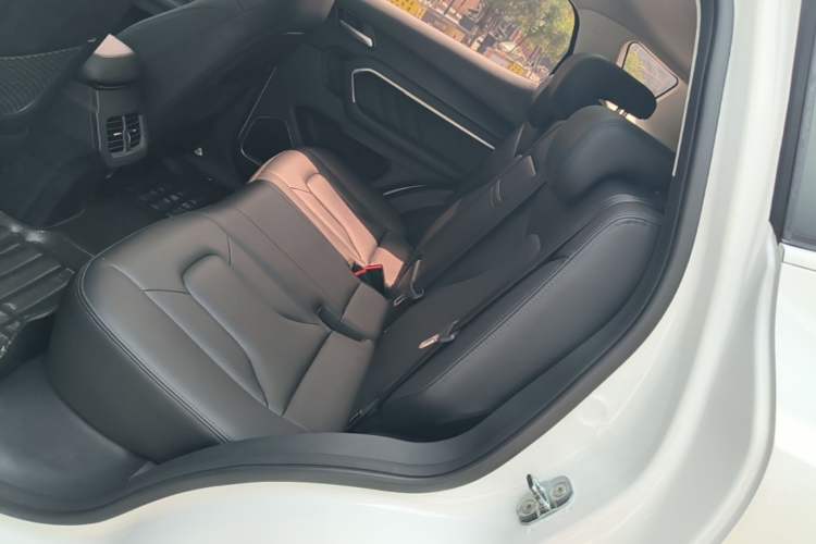 Used Haval H6 2017 Blue Label 1.5T Automatic Two-Wheel Drive ZhiShang Model Left Rear Seat