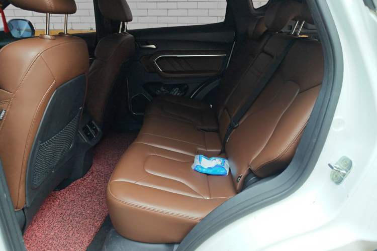 Used Haval H6 2017 Blue Label 2.0T Automatic Two-Wheel Drive Smart Edition Left Rear Seat