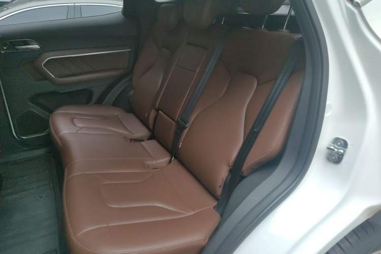 Used Haval H6 2017 Blue Label 2.0T Automatic Two-Wheel Drive Leading Model Left Rear Seat