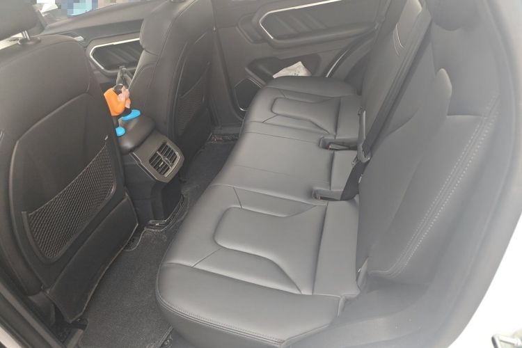 Used Haval H6 2017 Red Label 2.0T Automatic Two-Wheel Drive ZhiShang Model Left Rear Seat
