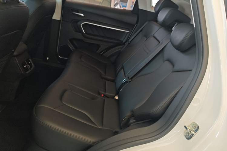 Used Haval H6 2017 Blue Label 1.5T Automatic Two-Wheel Drive ZhiShang Model Left Rear Seat