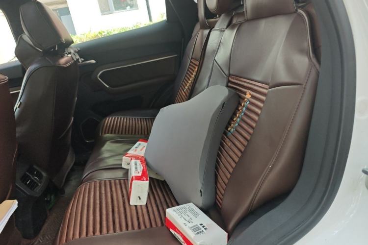 Used Haval H6 2017 Red-Label 2.0T Automatic Two-Wheel Drive Leading Edition Left Rear Seat