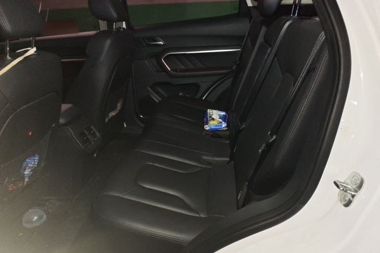 Used Haval H6 2017 Red Label 2.0T Automatic Two-Wheel Drive ZhiShang Model Left Rear Seat