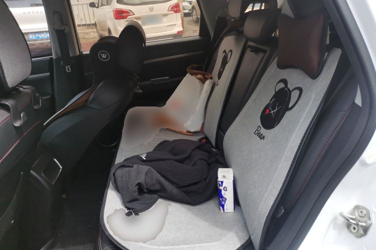 Used Haval H6 2017 Red-Label Sport Edition 1.5T Automatic Two-Wheel Drive Luxury Model Left Rear Seat