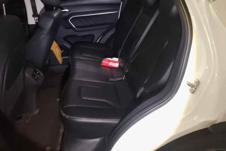 Used Haval H6 2017 Blue Label 1.5T Automatic Two-Wheel Drive ZhiShang Model Left Rear Seat
