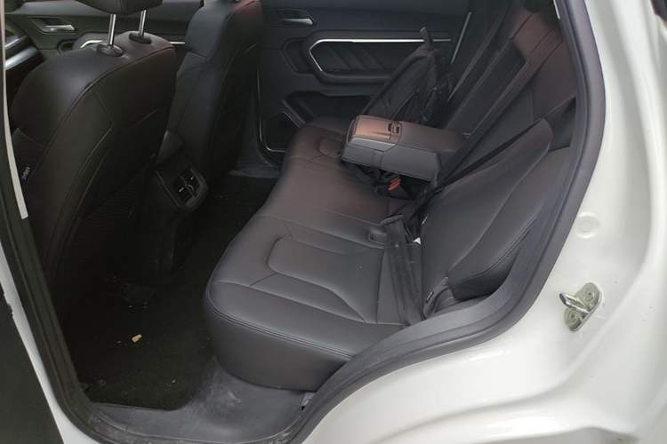 Used Haval H6 2017 Red Label 2.0T Automatic Two-Wheel Drive ZhiShang Model Left Rear Seat