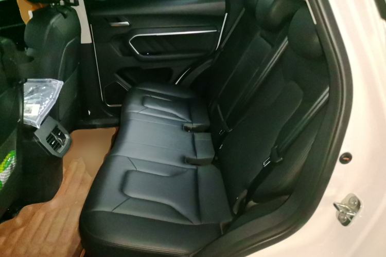 Used Haval H6 2017 Blue Label 1.5T Automatic Two-Wheel Drive ZhiShang Model Left Rear Seat