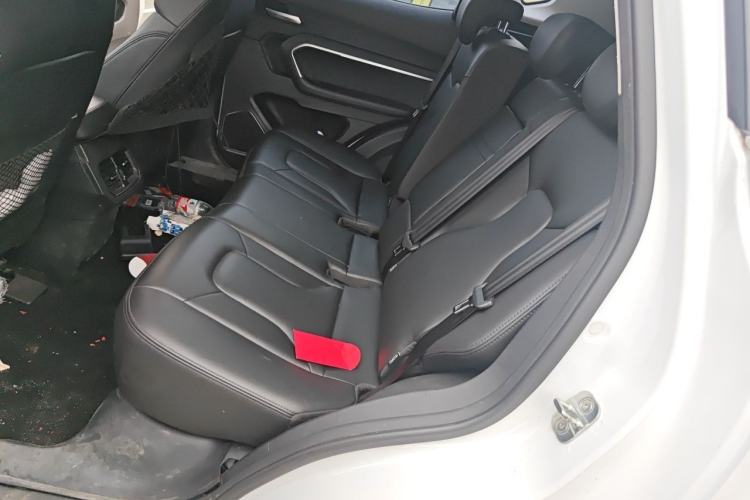 Used Haval H6 2017 Red Label 2.0T Automatic Two-Wheel Drive ZhiShang Model Left Rear Seat