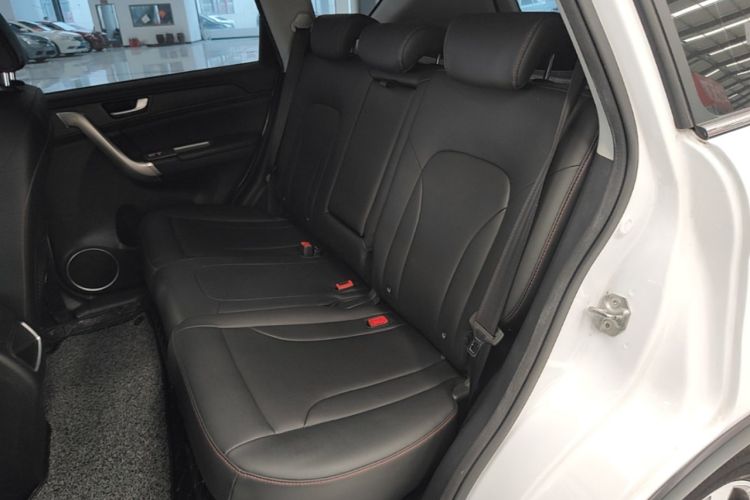 Used Haval H6 2017 Red-Label Sport Edition 1.5T Manual Two-Wheel Drive Elite Model Left Rear Seat
