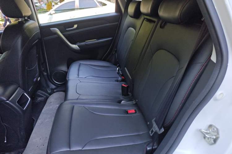 Used Haval H6 2017 Blue Label Sport Edition 1.5T Manual Two-Wheel Drive Elite Model Left Rear Seat