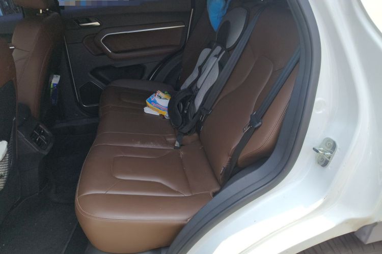 Used Haval H6 2017 Blue Label 2.0T Automatic Two-Wheel Drive Leading Model Left Rear Seat
