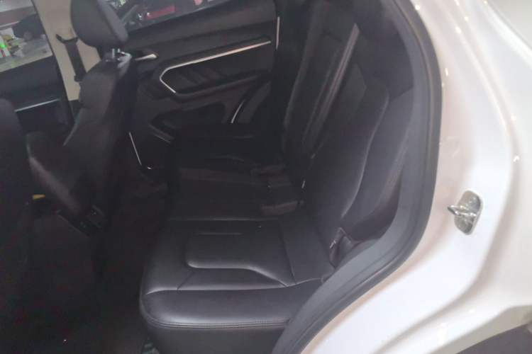 Used Haval H6 2017 Blue Label 2.0T Automatic Two-Wheel Drive Smart Edition Left Rear Seat