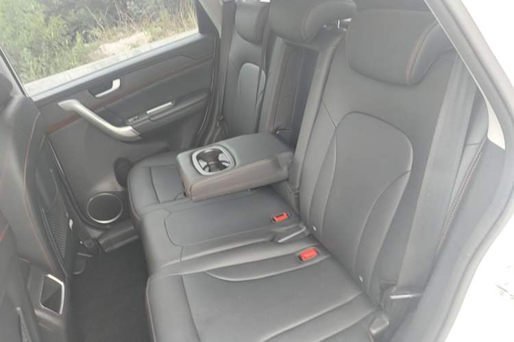 Used Haval H6 2017 Red-Label Sport Edition 1.5T Manual Two-Wheel Drive Elite Model Left Rear Seat