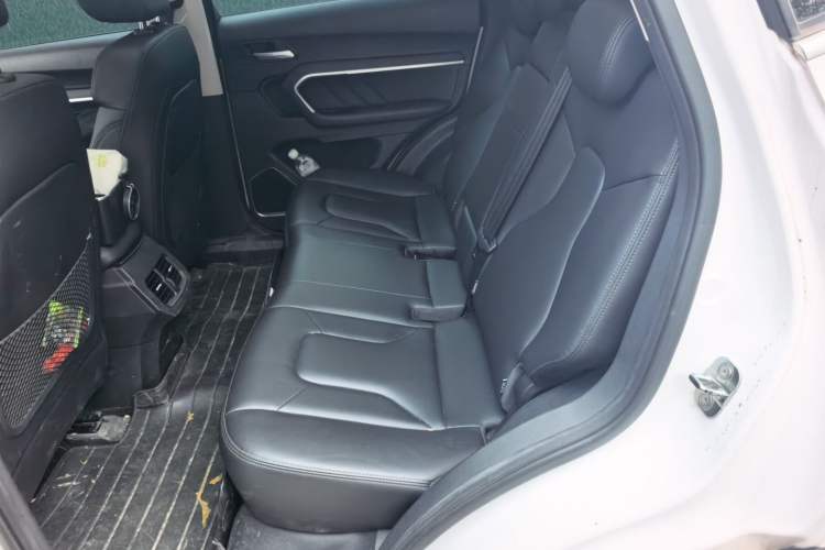 Used Haval H6 2017 Blue Label 1.5T Automatic Two-Wheel Drive ZhiShang Model Left Rear Seat