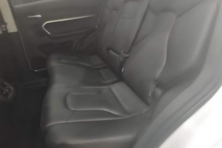 Used Haval H6 2017 Red Label 2.0T Automatic Two-Wheel Drive ZhiShang Model Left Rear Seat