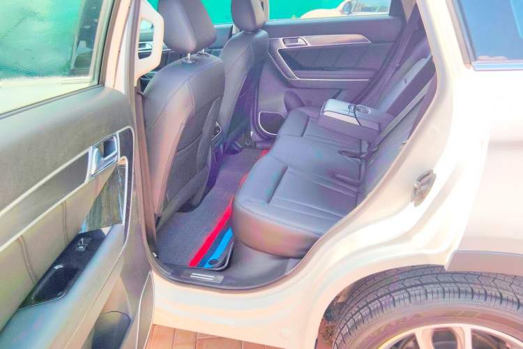Used Haval H6 2017 Red Label 2.0T Automatic Two-Wheel Drive ZhiShang Model Left Rear Seat