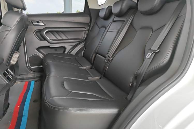 Used Haval H6 2017 Blue Label 2.0T Automatic Two-Wheel Drive Smart Edition Left Rear Seat