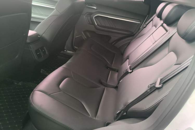 Used Haval H6 2017 Red Label 2.0T Automatic Two-Wheel Drive ZhiShang Model Left Rear Seat