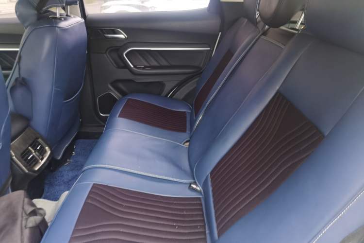 Used Haval H6 2017 Blue Label 2.0T Automatic Two-Wheel Drive Smart Edition Left Rear Seat