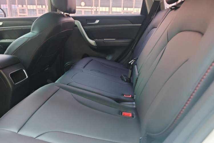 Used Haval H6 2017 Blue Label Sport Edition 1.5T Manual Two-Wheel Drive Elite Model Left Rear Seat