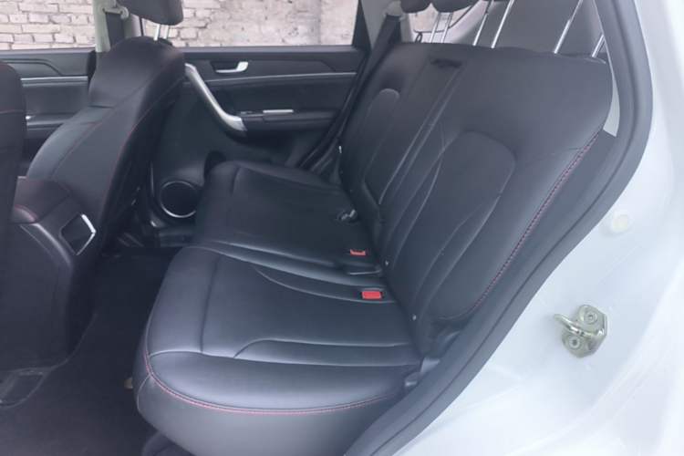 Used Haval H6 2017 Blue Label Sport Edition 1.5T Automatic Two-Wheel Drive Luxury Model Left Rear Seat