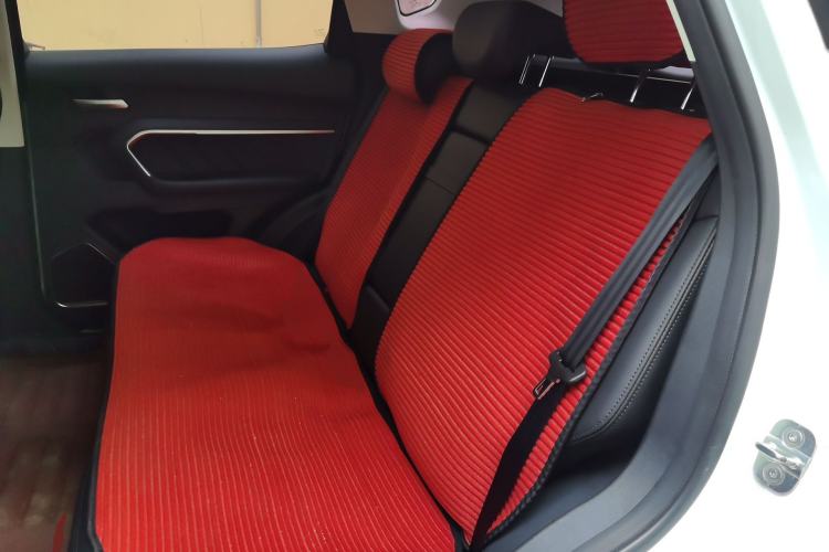 Used Haval H6 2017 Red Label 2.0T Automatic Two-Wheel Drive ZhiShang Model Left Rear Seat