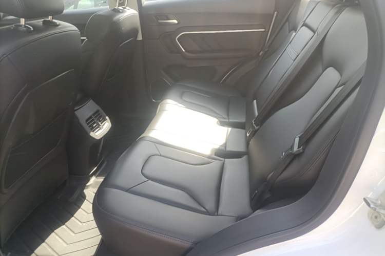 Used Haval H6 2017 Blue Label 1.5T Automatic Two-Wheel Drive ZhiShang Model Left Rear Seat
