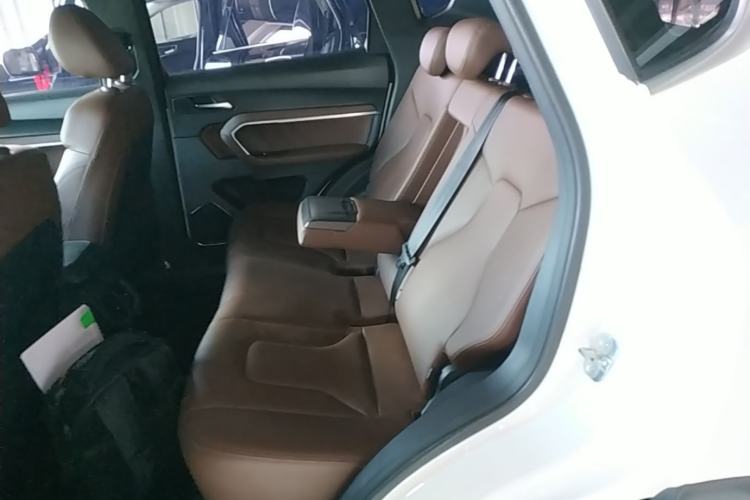 Used Haval H6 2017 Red Label 2.0T Automatic Two-Wheel Drive ZhiShang Model Left Rear Seat