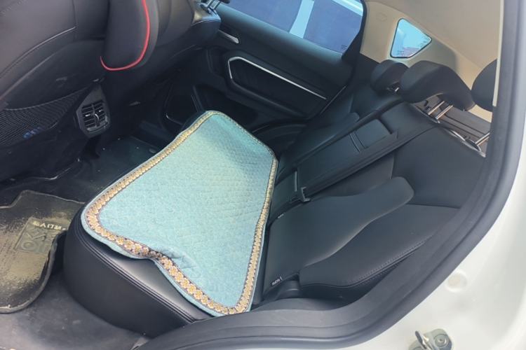 Used Haval H6 2017 Blue Label 2.0T Automatic Two-Wheel Drive Smart Edition Left Rear Seat