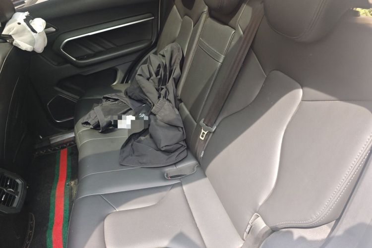 Used Haval H6 2017 Red Label 2.0T Automatic Two-Wheel Drive ZhiShang Model Left Rear Seat