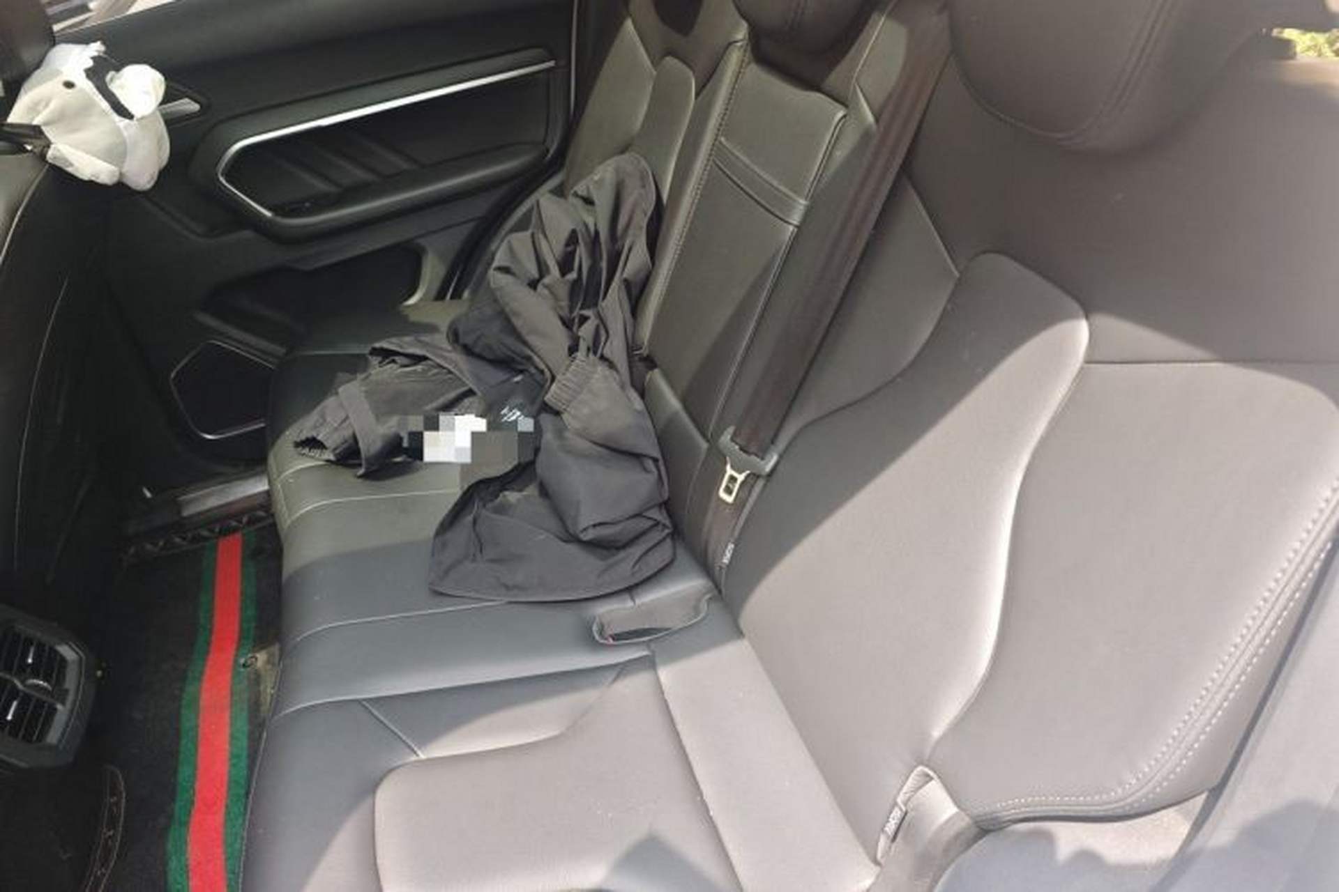 Used Haval H6 2017 Red Label 2.0T Automatic Two-Wheel Drive ZhiShang Model Left Rear Seat