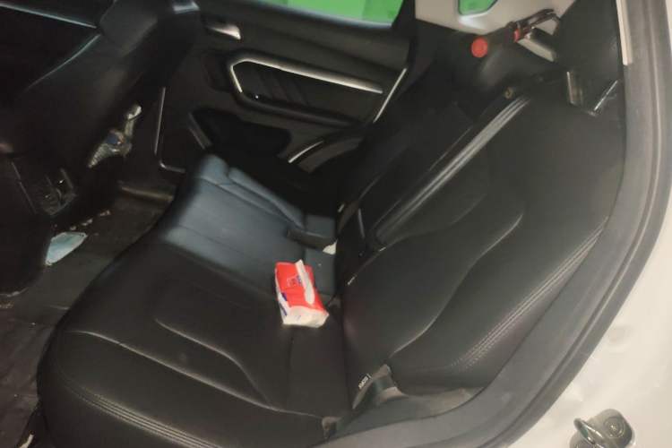 Used Haval H6 2017 Red Label 2.0T Automatic Two-Wheel Drive ZhiShang Model Left Rear Seat