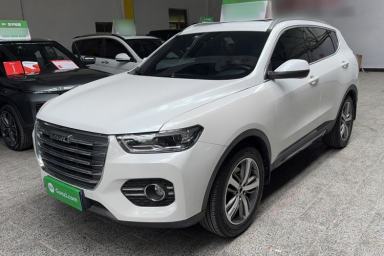 Used Haval H6 2017 Red Label 2.0T Automatic Two-Wheel Drive ZhiShang Model