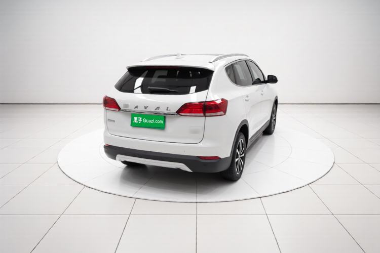 Used Haval H6 2017 Blue Label 2.0T Automatic Two-Wheel Drive Smart Edition Rear